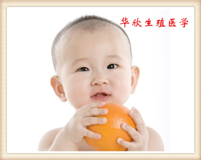 男性和女性的供精试管婴儿前检查分别是什么
