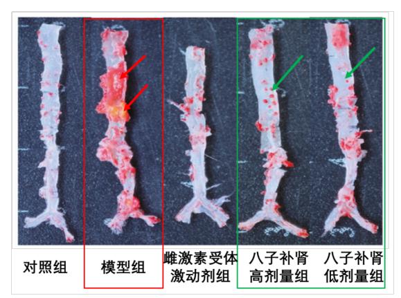 广水哪家医院可以提供男孩的卵子？