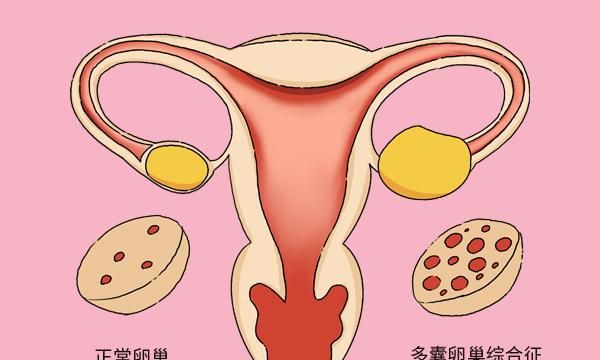 南京恒生医院试管技术怎么样