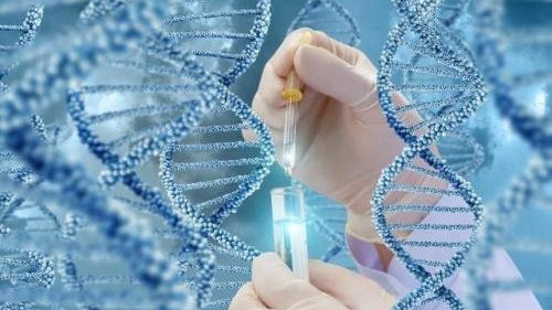 基因突变可以医院代生男孩费用吗+基因突变能代怀公司机构吗
