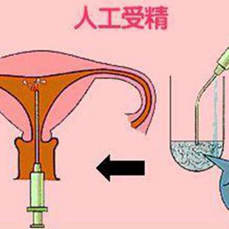 江苏南京寻试管代怀大学生_南京做助孕可以选择哪家公司_南京助孕网